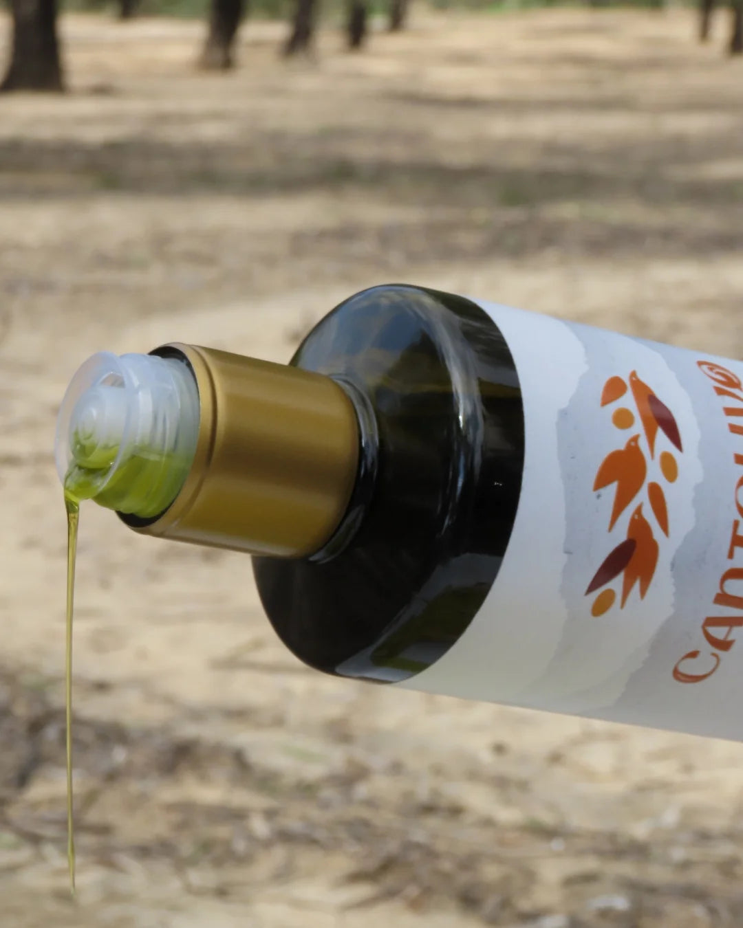 Aceite De Oliva Virgen Extra ARBEQUINA (Cosecha 2025/2026)