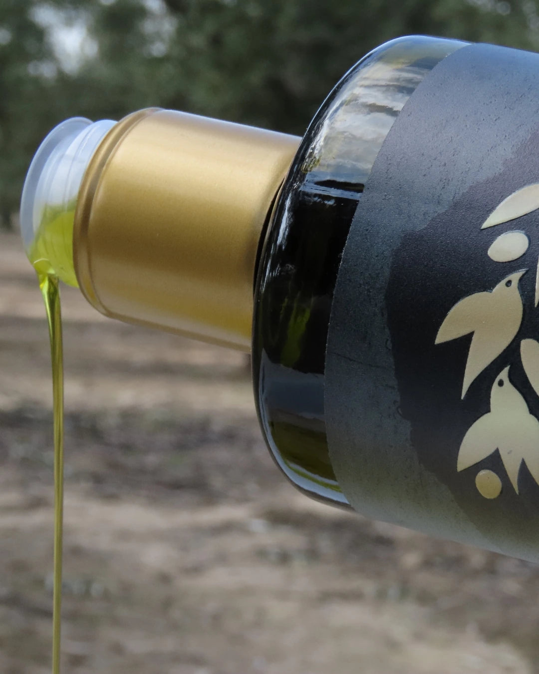 Aceite De Oliva Virgen Extra HOJIBLANCA (Cosecha 2025/2026)