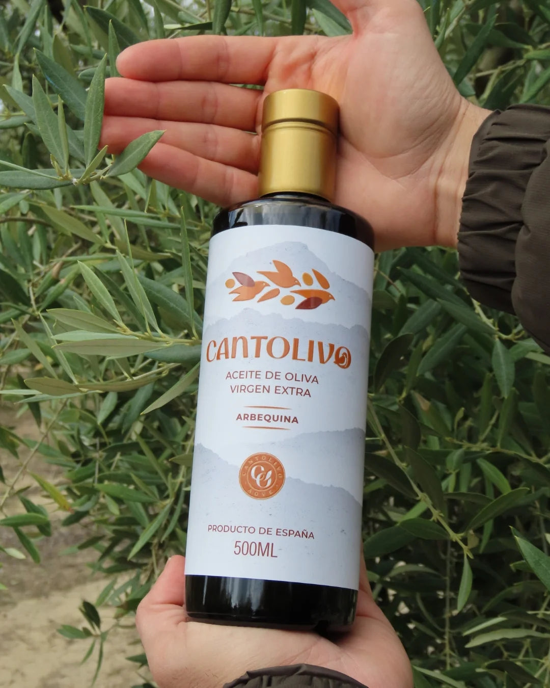 Aceite De Oliva Virgen Extra ARBEQUINA (Cosecha 2025/2026)