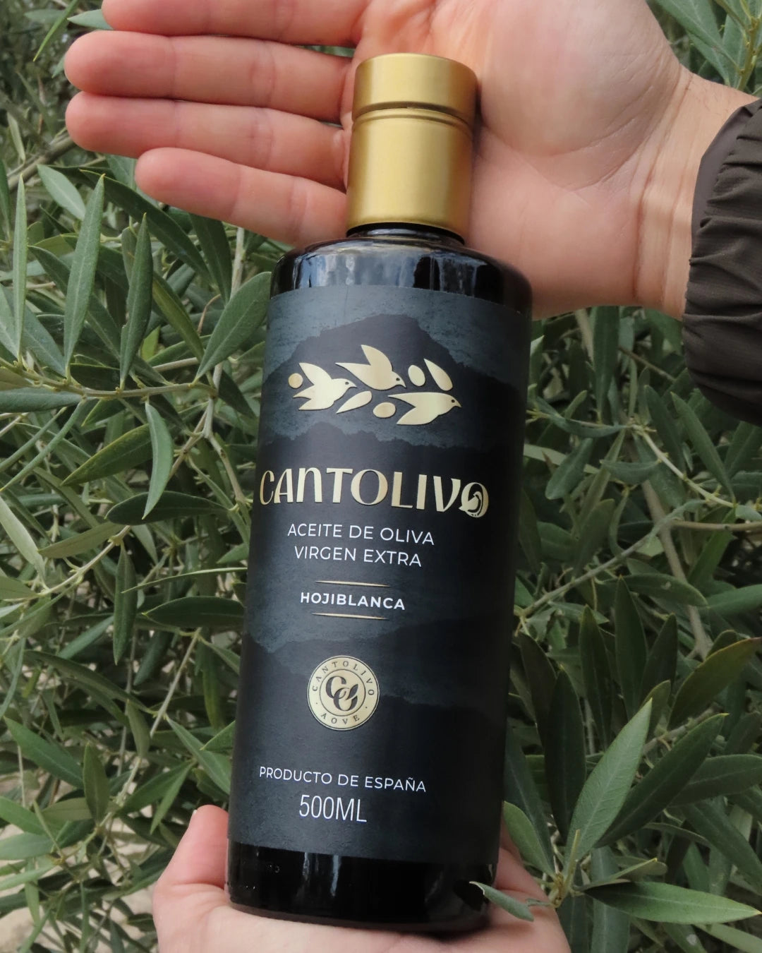 Aceite De Oliva Virgen Extra HOJIBLANCA (Cosecha 2025/2026)