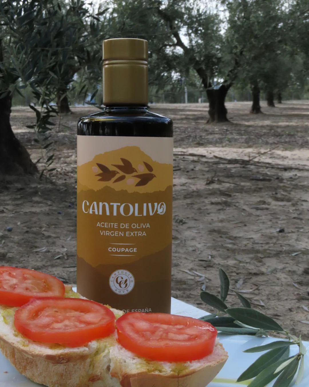 Aceite De Oliva Virgen Extra COUPAGE (Cosecha 2025/2026)