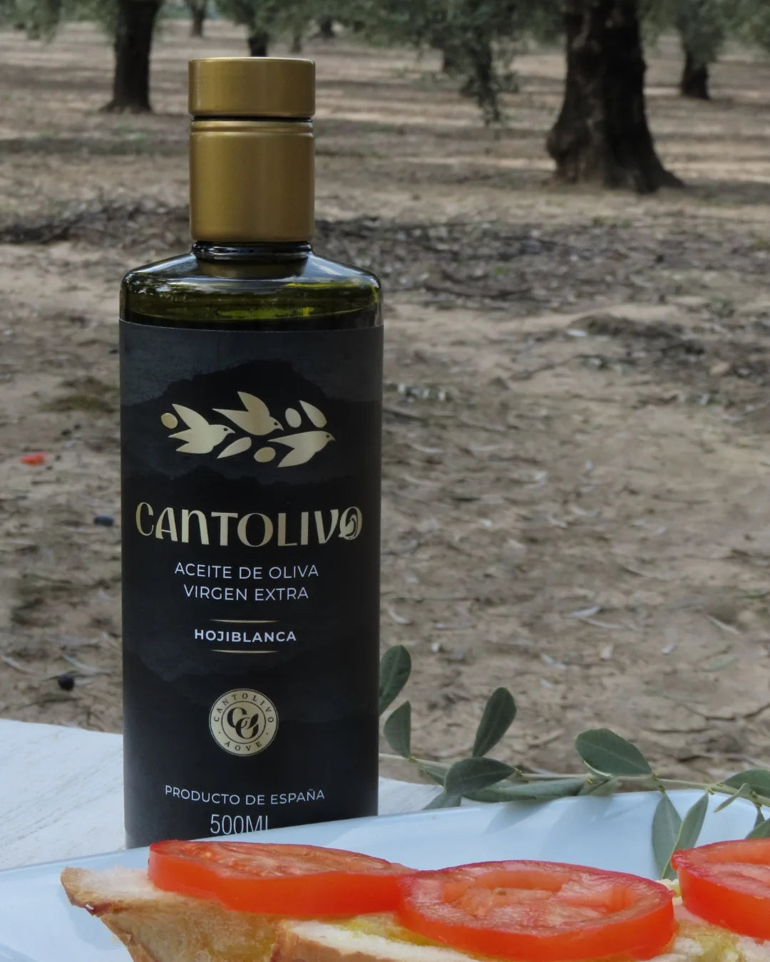 Aceite De Oliva Virgen Extra HOJIBLANCA (Cosecha 2025/2026)
