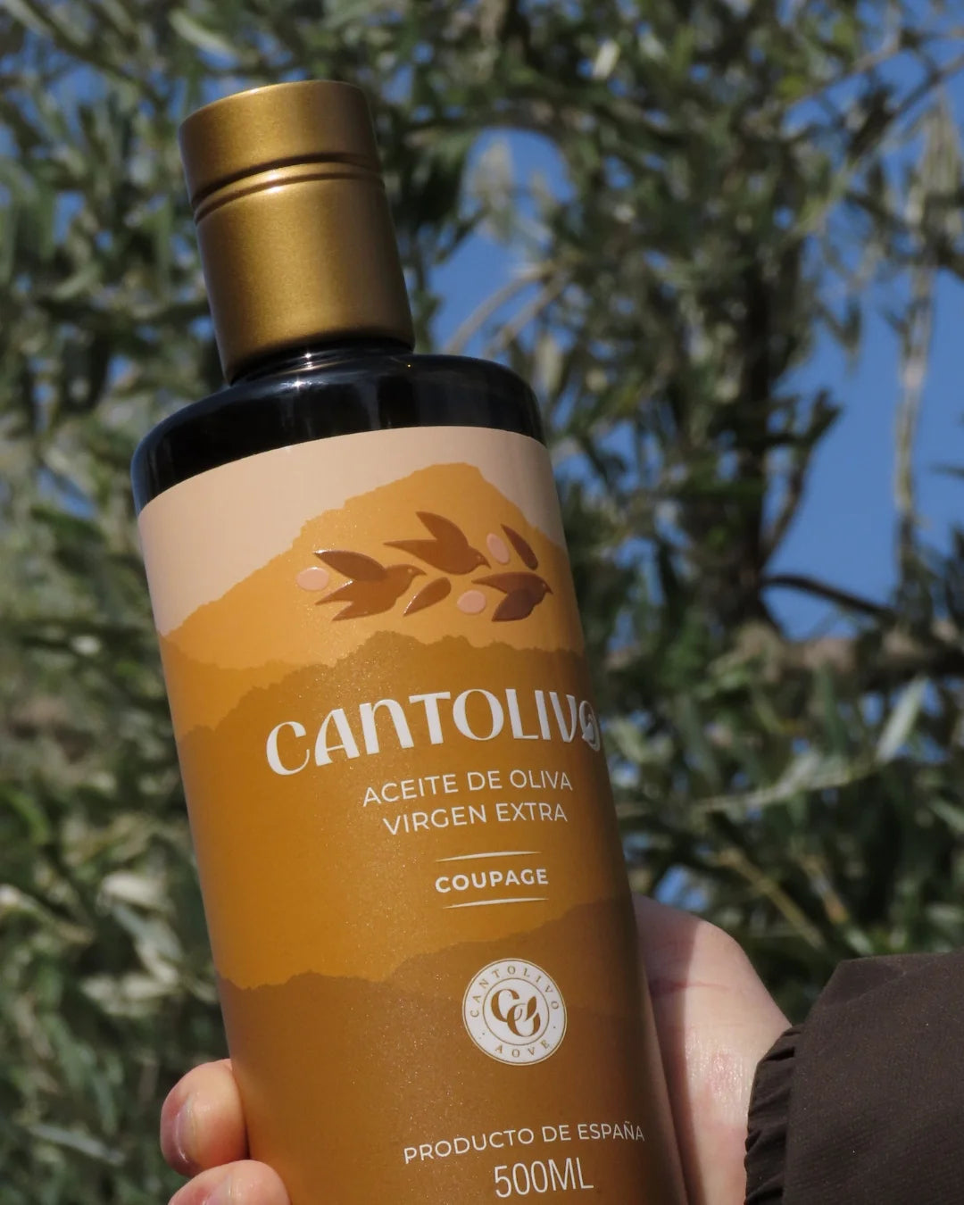 Aceite De Oliva Virgen Extra COUPAGE (Cosecha 2025/2026)