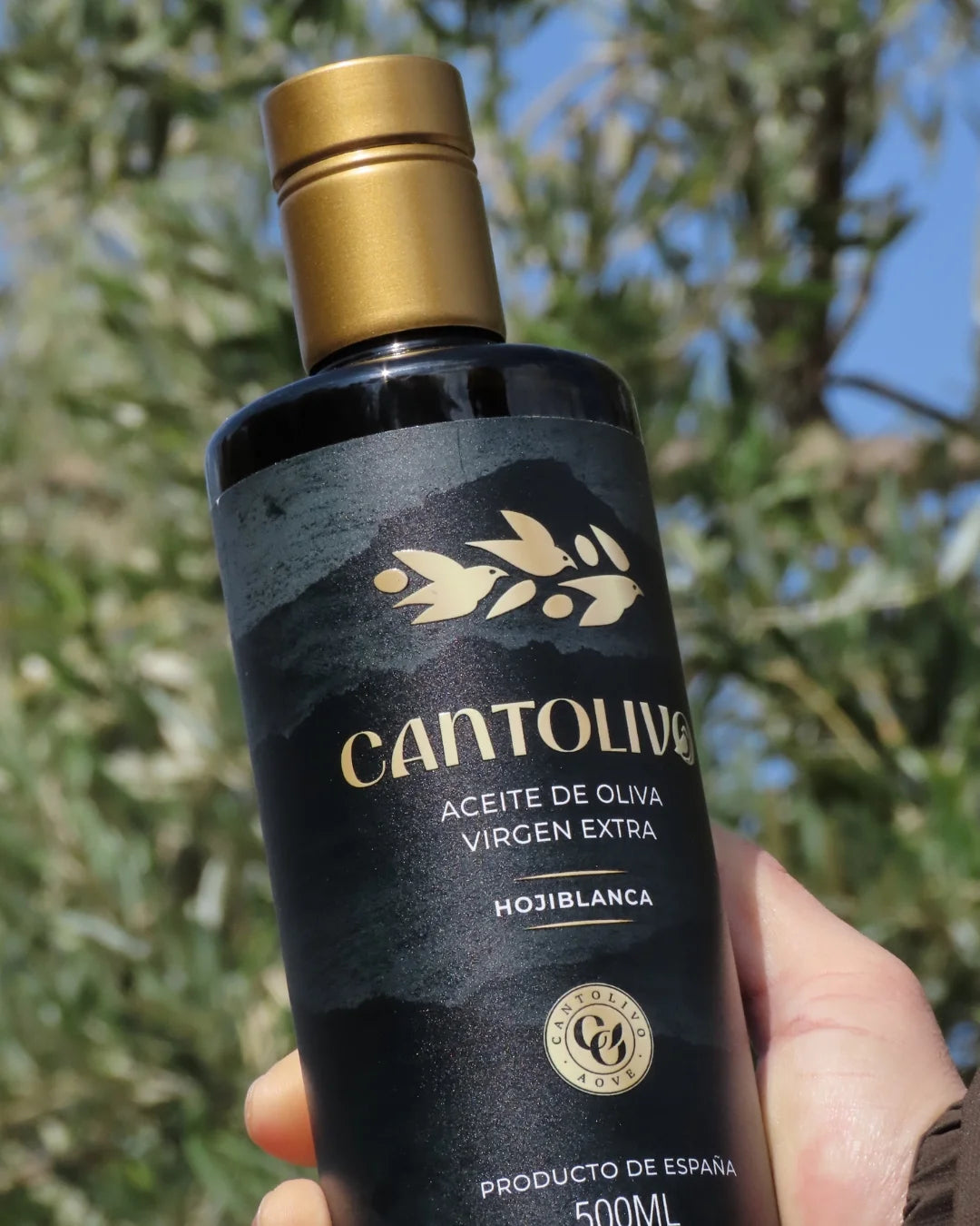 Aceite De Oliva Virgen Extra HOJIBLANCA (Cosecha 2025/2026)