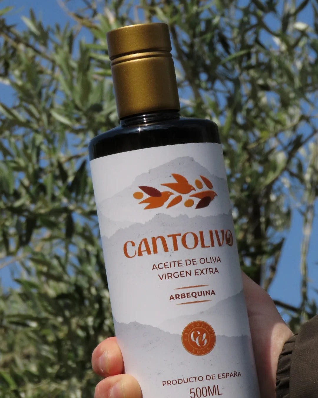 Aceite De Oliva Virgen Extra ARBEQUINA (Cosecha 2025/2026)
