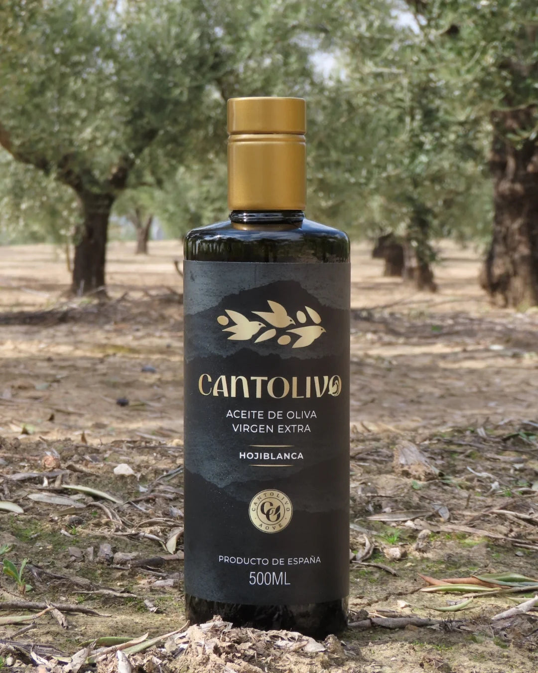 Pack Cantolivo Gourmet (Cosecha 2025/2026)