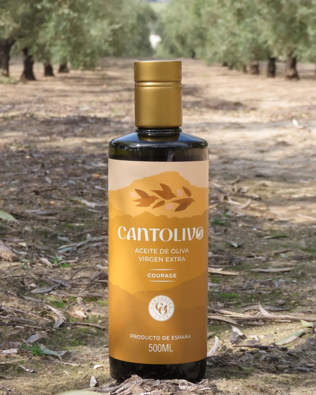 Pack Cantolivo Gourmet (Cosecha 2025/2026)