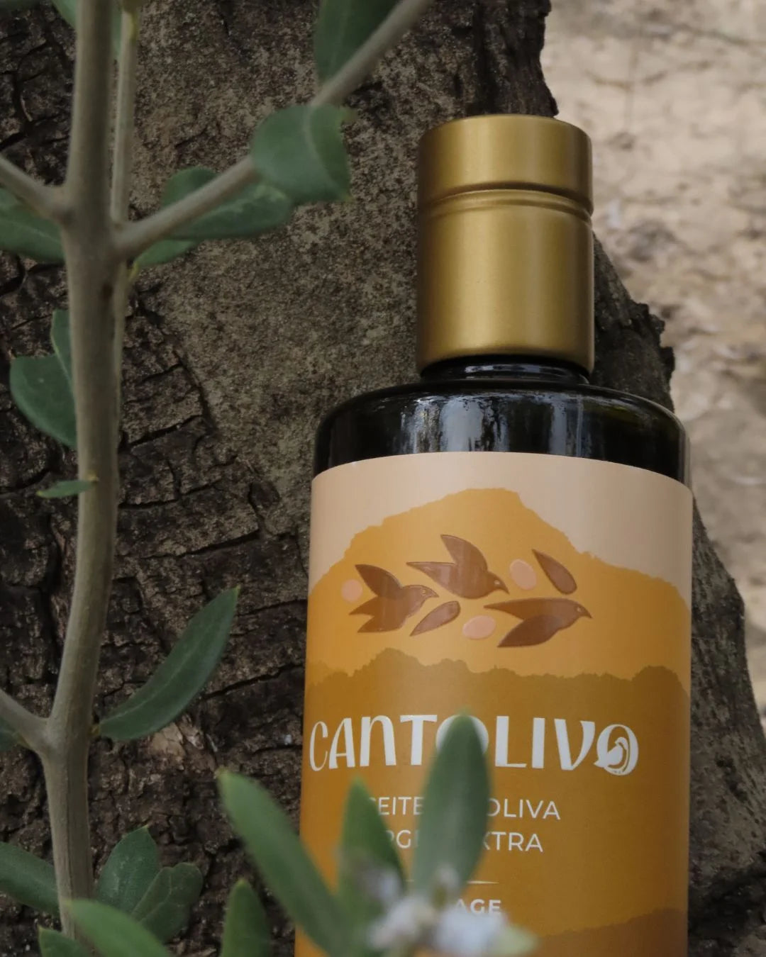 Aceite De Oliva Virgen Extra COUPAGE (Cosecha 2025/2026)