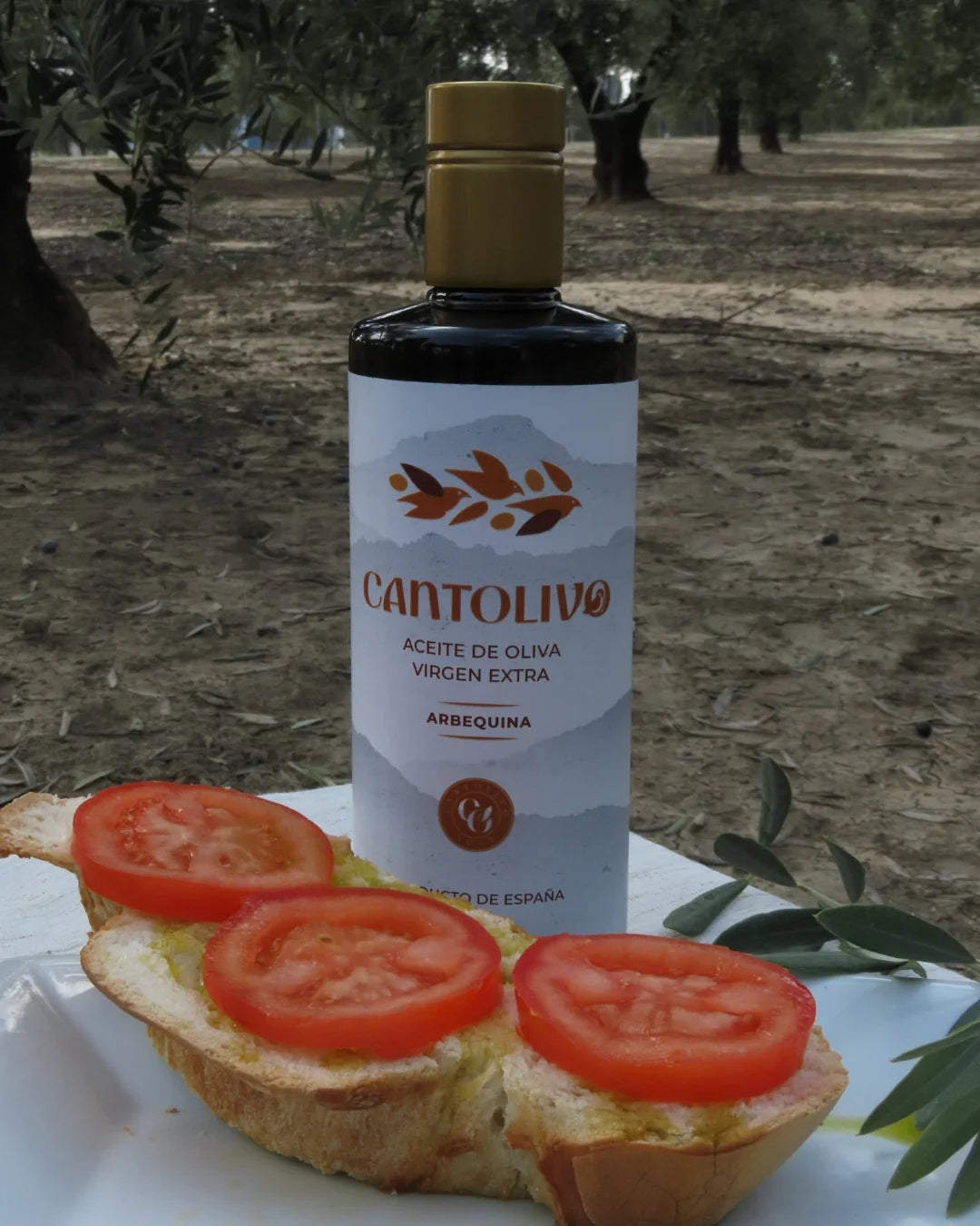 Aceite De Oliva Virgen Extra ARBEQUINA (Cosecha 2025/2026)